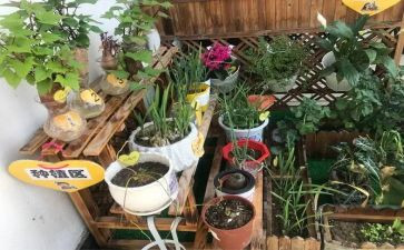 蒙氏幼儿园培训计划推荐6篇