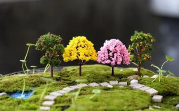 幼儿园艺术节活动方案推荐7篇