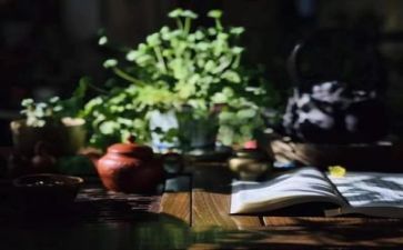 阅读月活动总结最新5篇