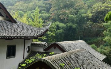 爬岳麓山作文模板7篇