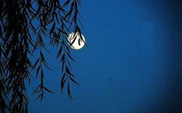 小月夜作文5篇