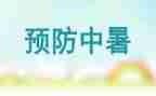 幼儿预防溺水的教案6篇