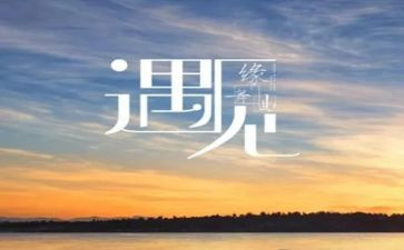 我遇见我作文800字最新5篇