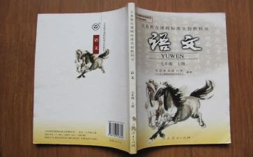2023高考语文作文范文800字7篇