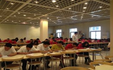 语训中心个人工作总结7篇
