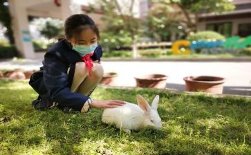 育子心得体会范文优质6篇