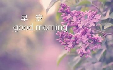 关于早恋的演讲稿8篇