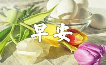 校园的早早晨作文5篇