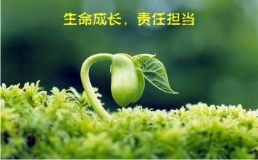 爱与责任的演讲稿精选5篇
