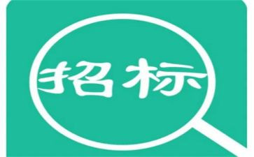 2024招标办述职报告5篇