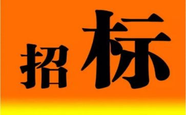 2024年招标代理工作的个人总结8篇