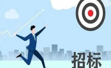 招标代理公司年终总结6篇