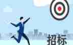 个人工程招标年终工作总结6篇