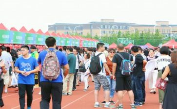 学校招生科个人工作总结7篇