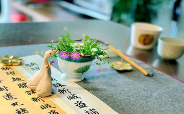 《这就是我》的作文5篇