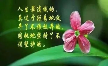 关于哲理的演讲稿7篇