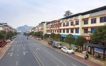 镇环保个人述职报告8篇