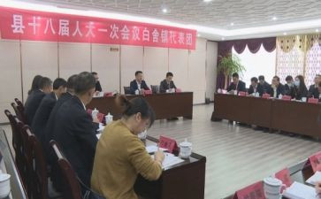 镇代表个人工作总结模板5篇