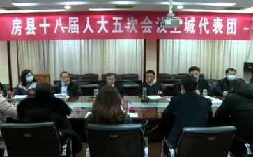 镇代表述职报告精选8篇