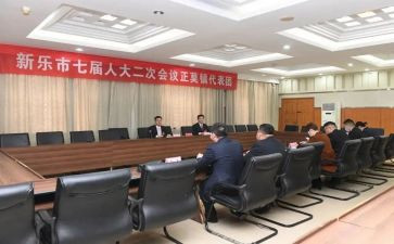 镇代表个人工作总结6篇