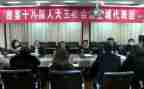 镇代表述职报告精选8篇