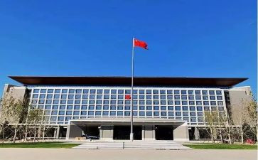 政府工作总结个人工作总结7篇