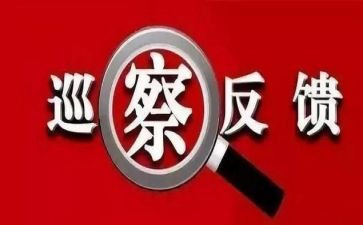 财务审计整改报告6篇