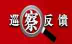 财务审计整改报告6篇