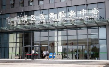 政务半年工作总结8篇