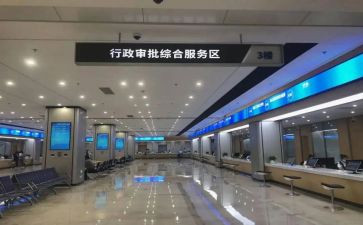 政务服务类工作总结报告7篇