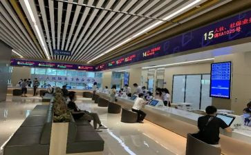政务自查报告6篇