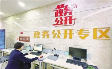 政务公开工作个人工作总结8篇