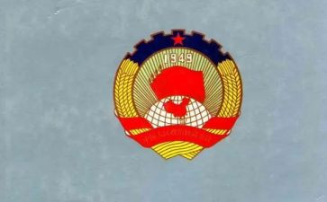 市政协委员述职报告8篇