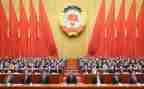 区政协委员个人述职报告5篇