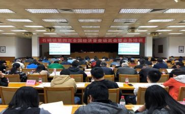 2024年乡镇统计办工作总结8篇