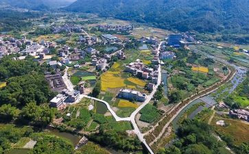 2024乡村振兴半年工作总结6篇