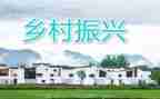2024乡村振兴工作年度总结8篇