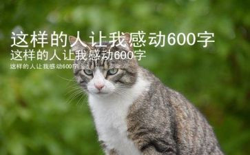我这样的人作文600字最新7篇