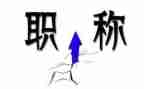 职称技术个人工作总结5篇