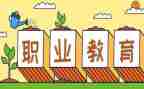 中职教师述职个人述职报告7篇