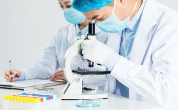 青质量个人工作总结范文6篇