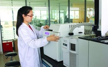 质量工作总结个人范文5篇
