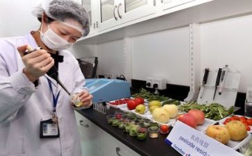 年质量工作总结参考8篇