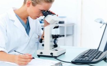 质量年活动总结精选6篇