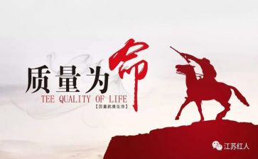 质量安全半年度工作总结6篇