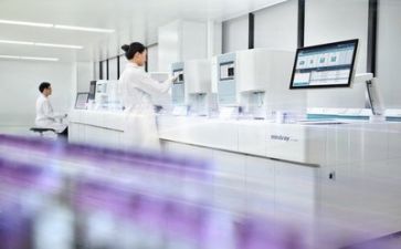 质量组工作总结优秀8篇