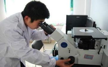 质量月工作计划8篇