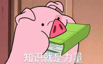 晒知识作文优秀6篇
