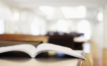 2024年暑期政治学心得体会5篇