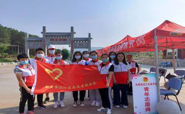 村志愿者活动方案6篇